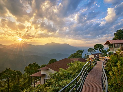 Wedding Planner in Kasauli: Save the Date